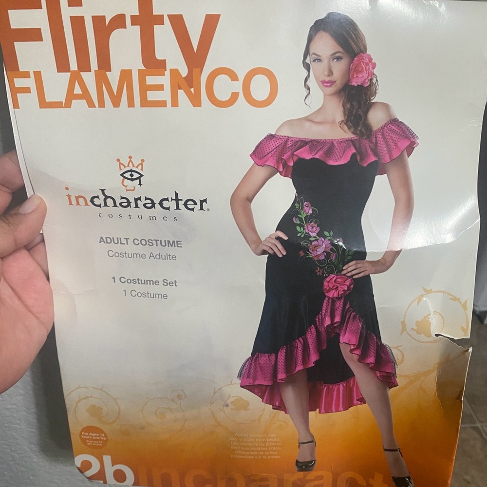 Flamenco Costume